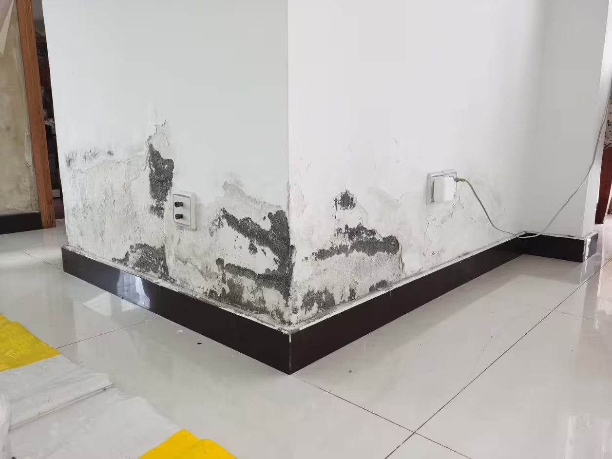 发潮2.jpg