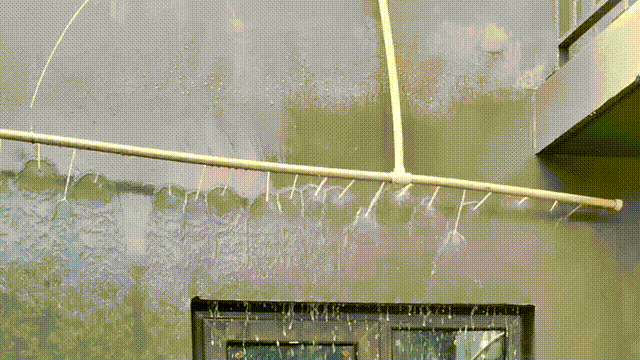 d3.gif