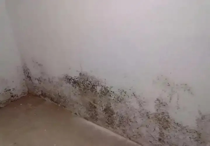 青龙防水实战干货：3个步骤让防水不再返工！